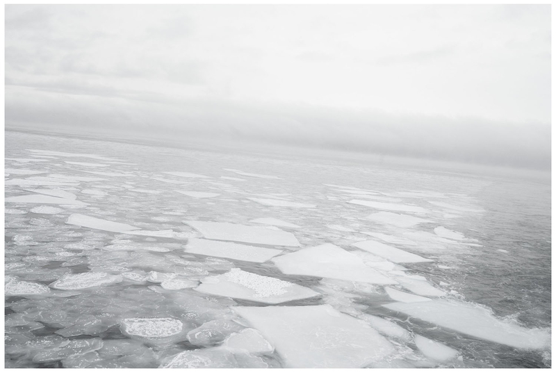 Arctic Visions