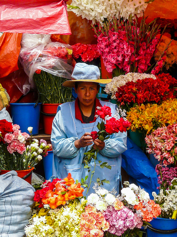 The Bolivian Florist