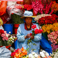 The Bolivian Florist