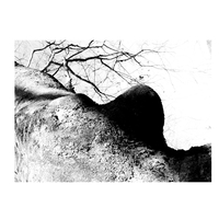 Sensuous Land
