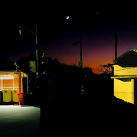 Nocturnal Visit