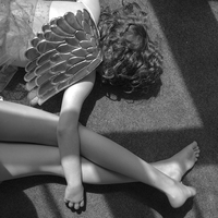 The Fallen