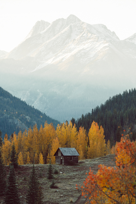 The Cabin of My Mind