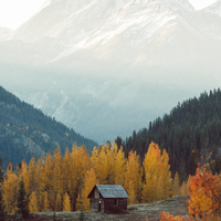 The Cabin of My Mind