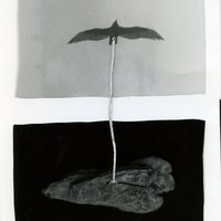 Tethered