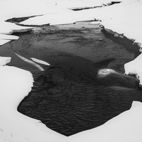 Breath of the Arctic