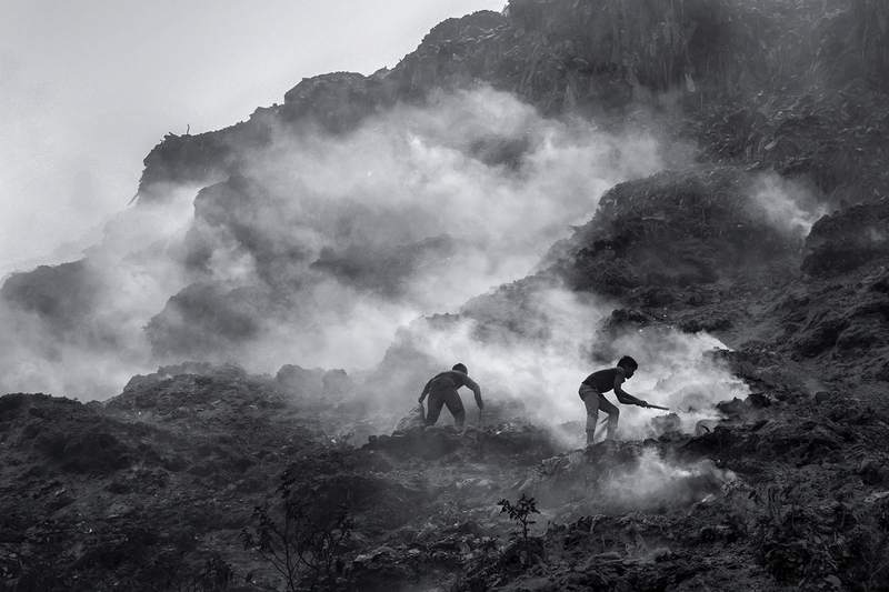 Survival amidst Pollution