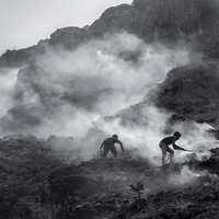 Survival amidst Pollution