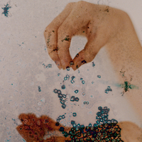 Salting the earth