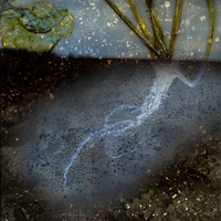 Salting the earth