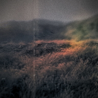 109.licm
