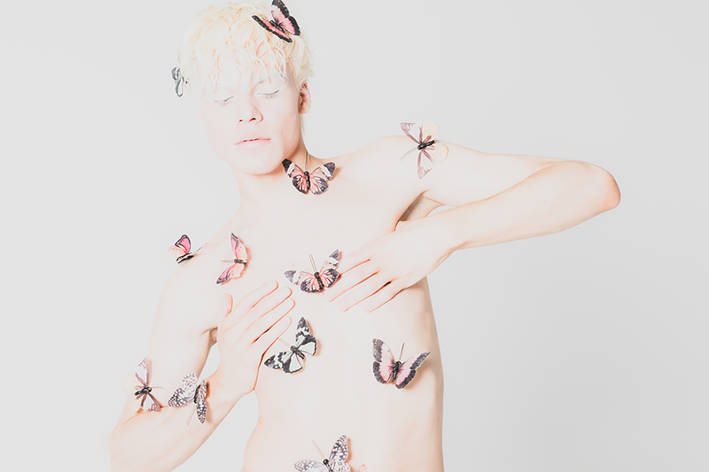 Mr. Butterfly
