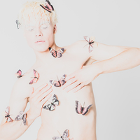 Mr. Butterfly