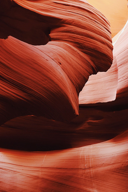 Wisdom of Orange