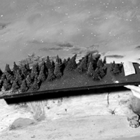 A Natural History (Built to be Seen)