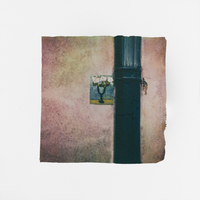 Photographic Ideograms  