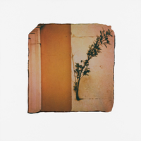 Photographic Ideograms  