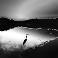 La part de l'ombre