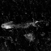 Abyssal Echoes