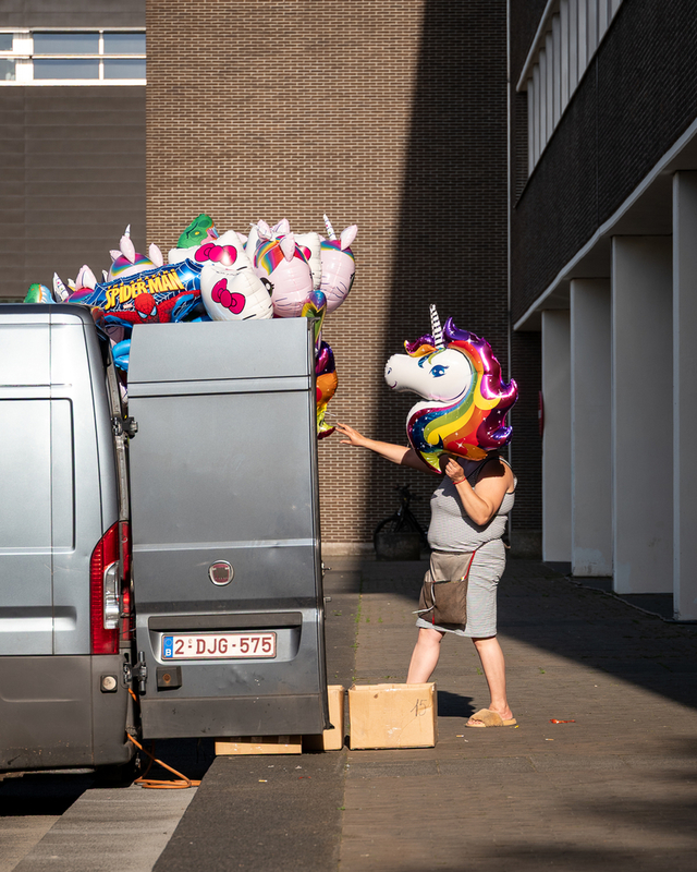 Unicorn