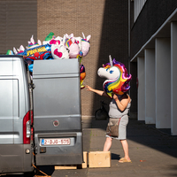 Unicorn
