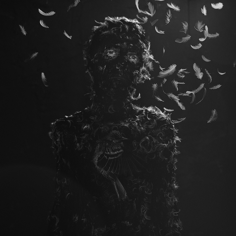 Fallen