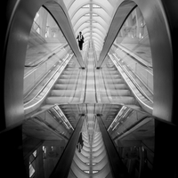 Reflective Descent