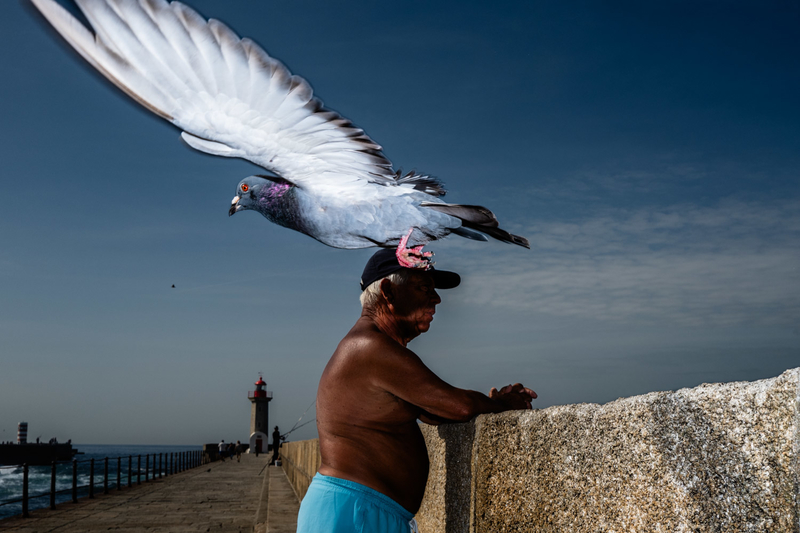 At the Pier in Porto