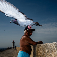 At the Pier in Porto