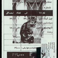 ​Absolute: Tehran Cats