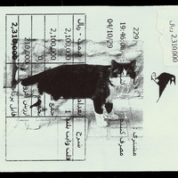 ​Absolute: Tehran Cats