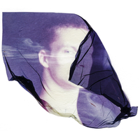 Polaroid Emulsion Lifts