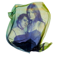 Polaroid Emulsion Lifts