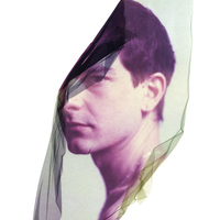 Polaroid Emulsion Lifts