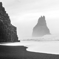 Black Birds (of Iceland)