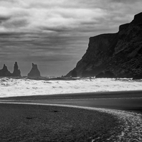 Black Birds (of Iceland)