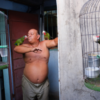 Man with parrots