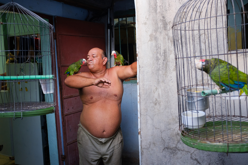 Man with parrots